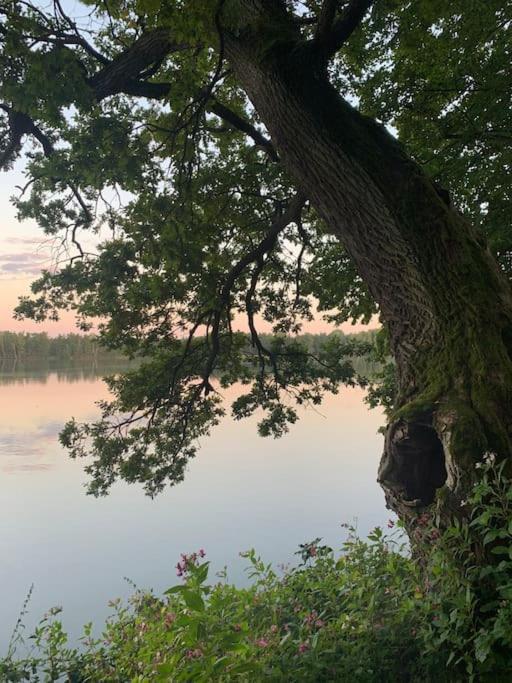 Příjemná chaloupka na Třeboňsku Chlum u Trebone Exterior foto