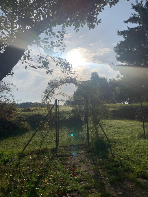 Příjemná chaloupka na Třeboňsku Chlum u Trebone Exterior foto