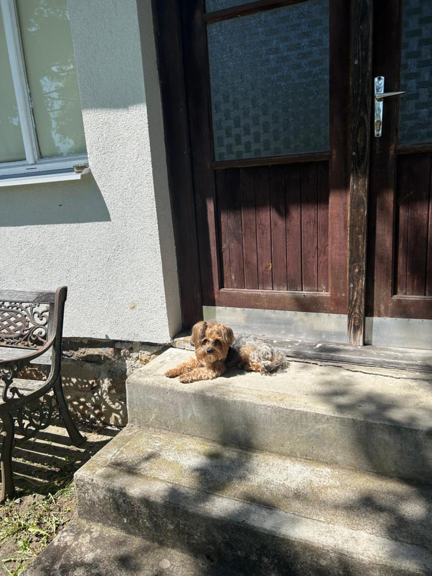 Příjemná chaloupka na Třeboňsku Chlum u Trebone Exterior foto